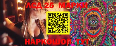 ALPHA PVP Будённовск