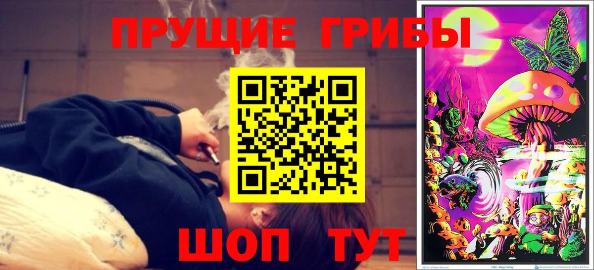 продажа наркотиков  Вход с VPN  Красноармейск  Псилоцибиновые грибы Cubensis 